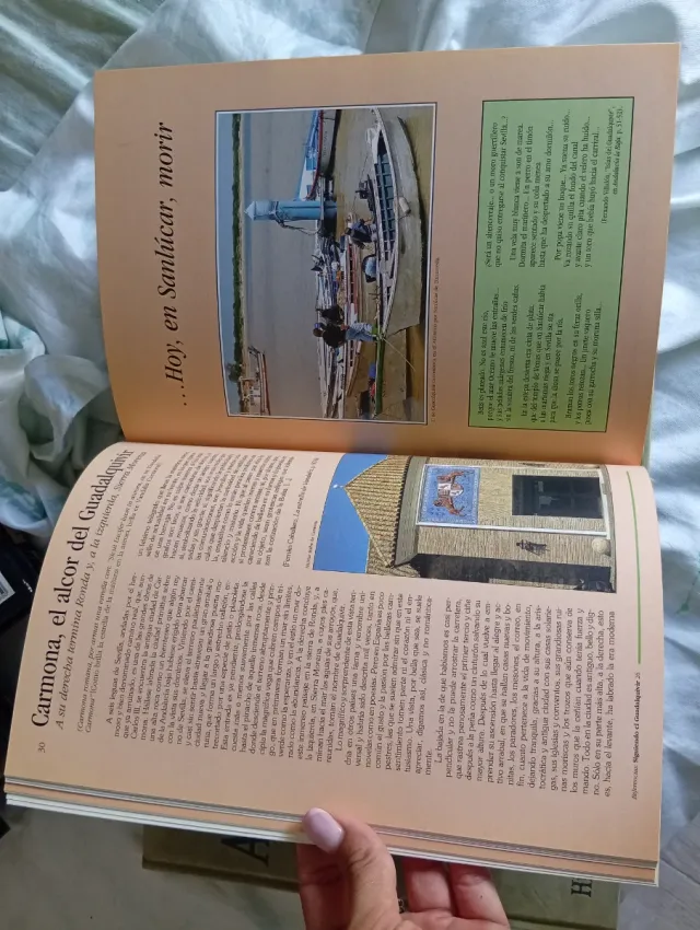 Libros varios y colecciónes