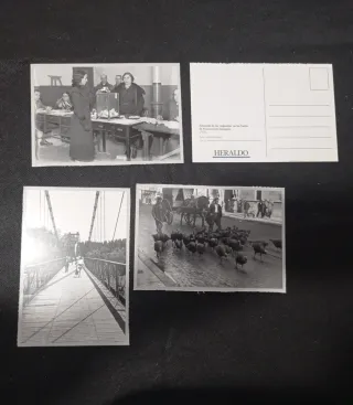 Lote Postales Antiguas Zaragoza