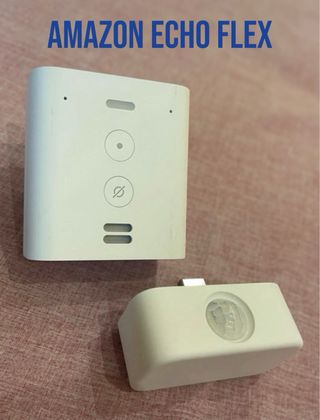 Amazon Echo Flex