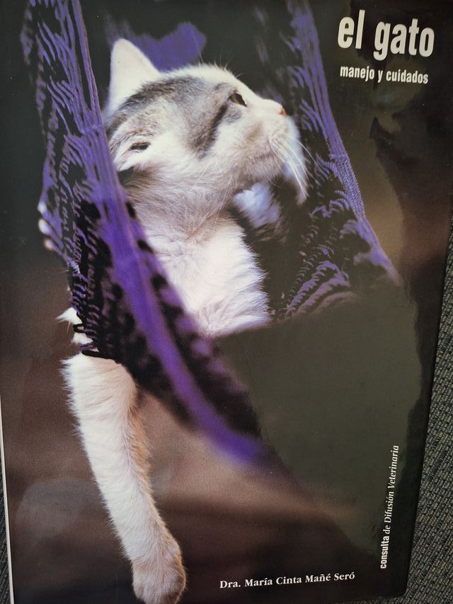 El Gato, manejo y cuidados