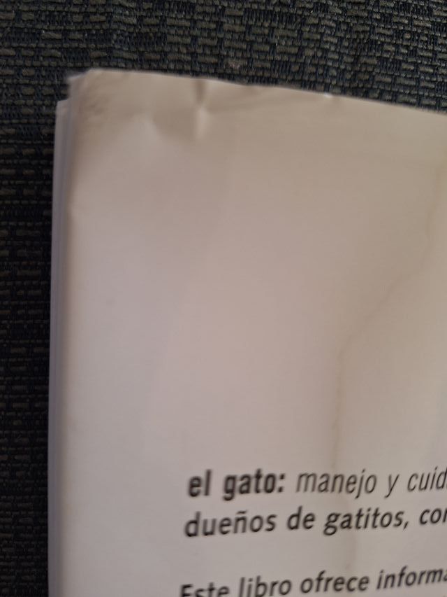 El Gato, manejo y cuidados