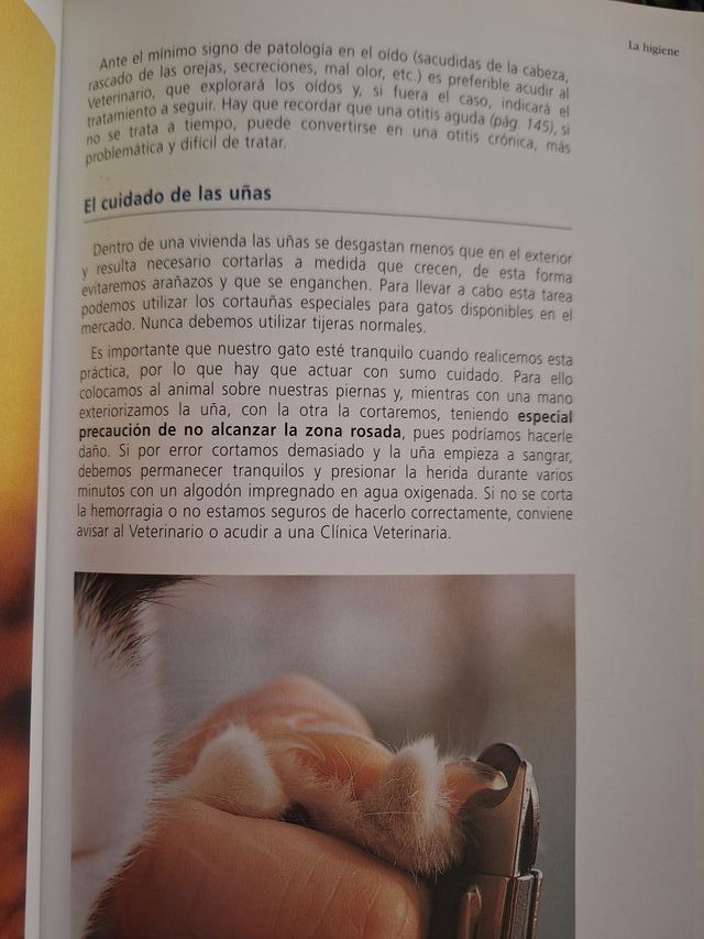 El Gato, manejo y cuidados