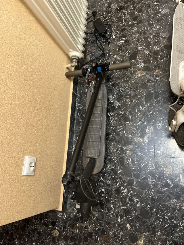 Patinete Eléctrico Xiaomi