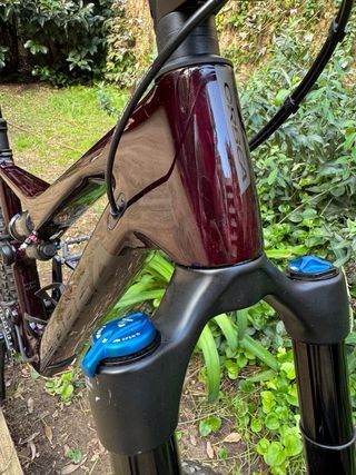 Orbea Rallon Carbon 29'' MTB