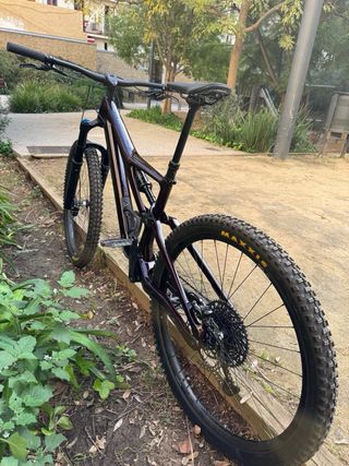 Orbea Rallon Carbon 29'' MTB