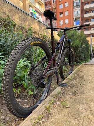 Orbea Rallon Carbon 29'' MTB