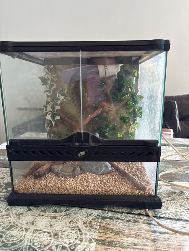 Terrario para reptiles/anfibios