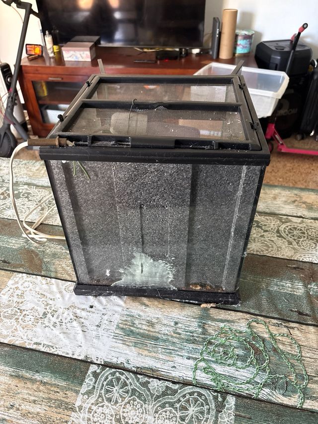 Terrario para reptiles/anfibios