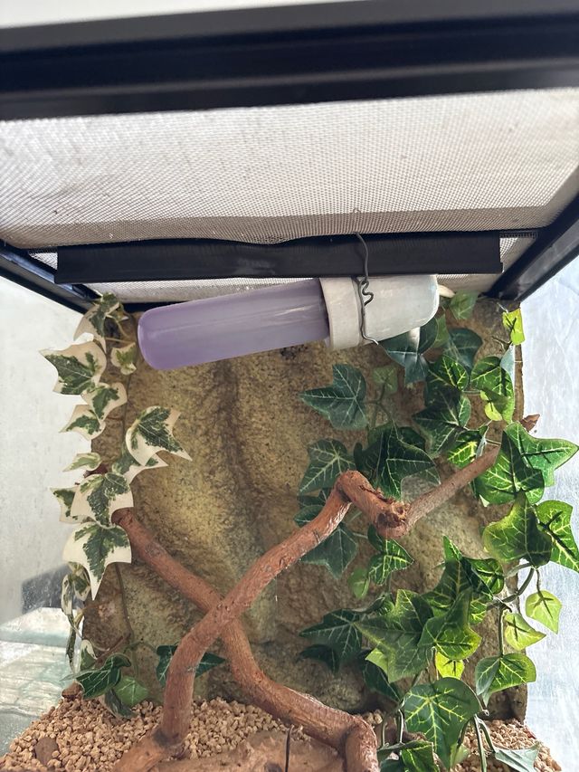 Terrario para reptiles/anfibios