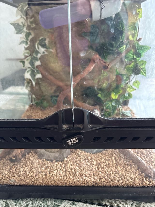 Terrario para reptiles/anfibios