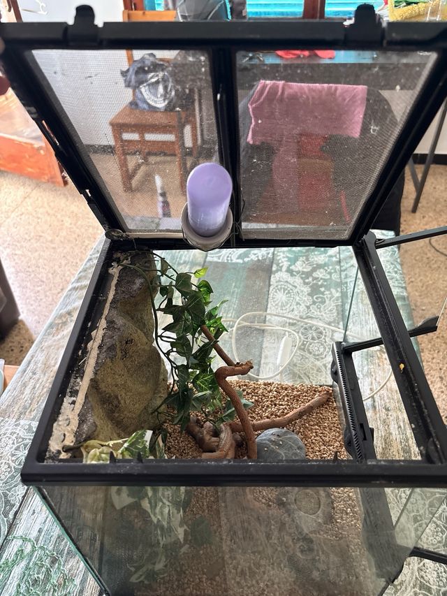 Terrario para reptiles/anfibios