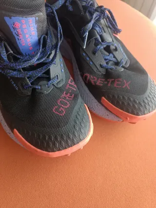 Zapatillas Nike Pegasus Trail Gore-Tex Negras