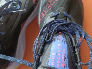 Zapatillas Nike Pegasus Trail Gore-Tex Negras