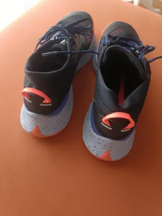 Zapatillas Nike Pegasus Trail Gore-Tex Negras