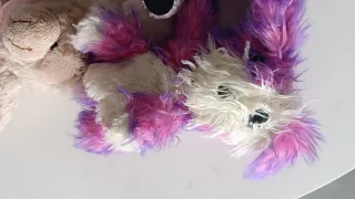 Lote peluches animalitos