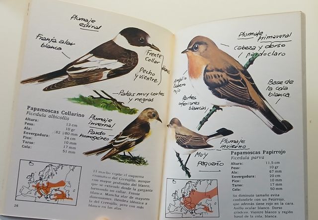 Pájaros del bosque III cuaderno de Campo del Dr...