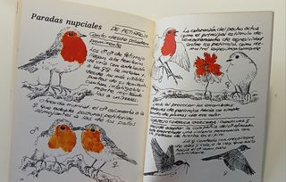 Pájaros del bosque III cuaderno de Campo del Dr...