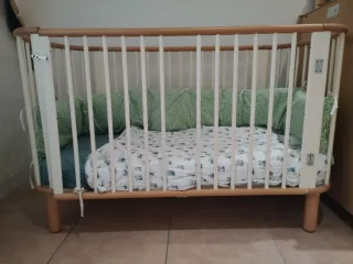 Cuna Evolutiva Flexa