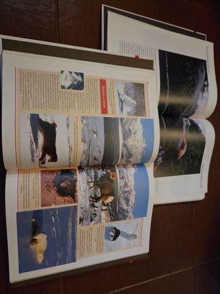 Coleção Viagens e Aventuras Reader's Digest