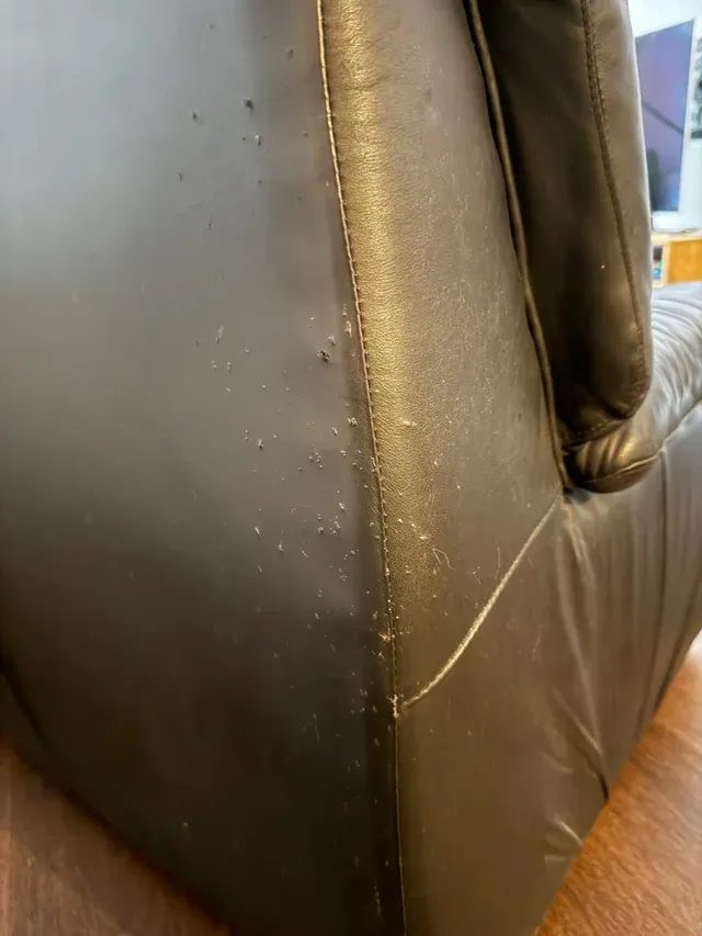 Poltrona antica in pelle nera