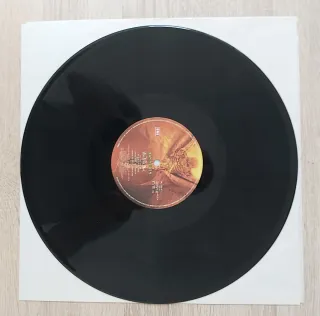 Iron Maiden Lp Fear of the Dark 2 vinilos