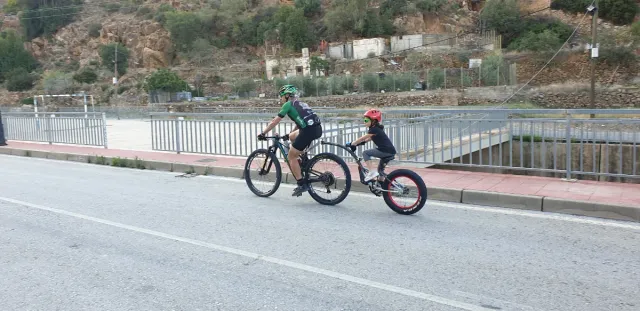 Weeride Copilot XT Semitandem