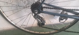 ORBEA MONCAYO REVISADA LISTA USAR