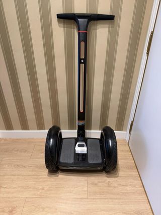 Ninebot Elite + Negro