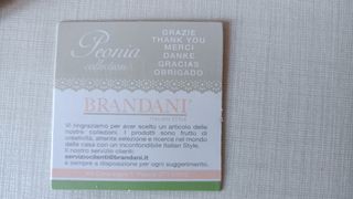 Set 7 cucchiaini Brandani decorati