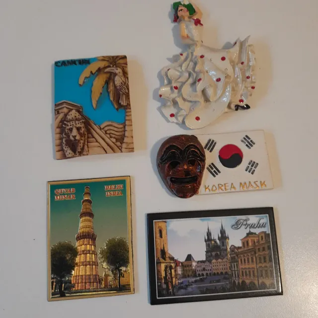 5 Calamite Frigorifero Souvenir