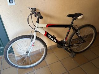 Bicicleta TEAM