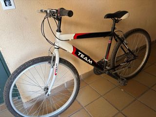 Bicicleta TEAM