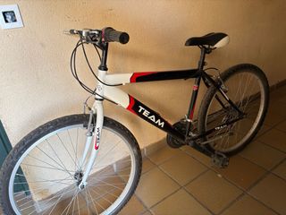 Bicicleta TEAM