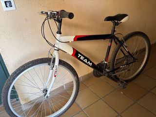 Bicicleta TEAM