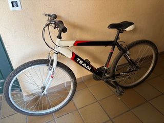 Bicicleta TEAM