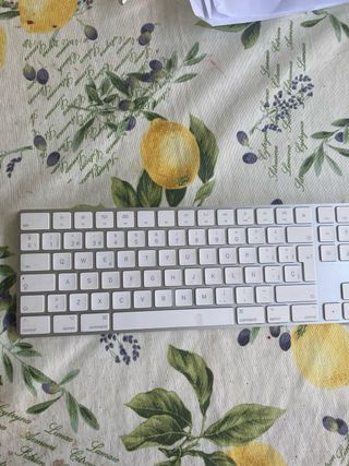 Teclado Apple Plata y Blanco