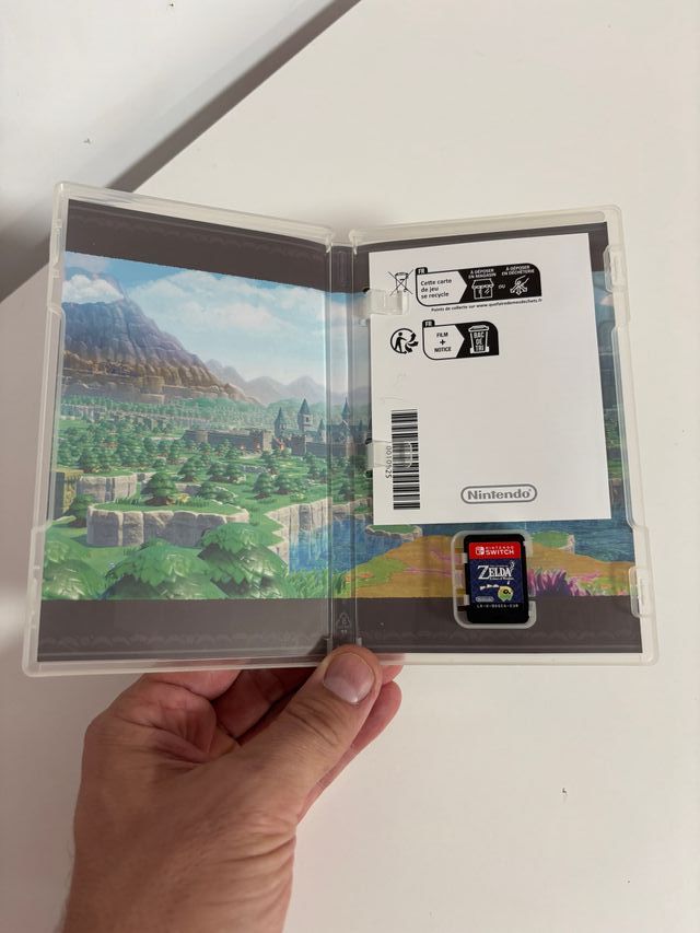 Zelda Echoes of Wisdom Nintendo Switch