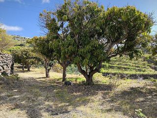 Solar en venta en Santa Cruz de la Palma