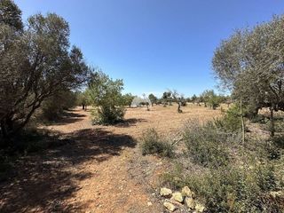 Terreno en venta en Llucmajor Interior en Llucmajor