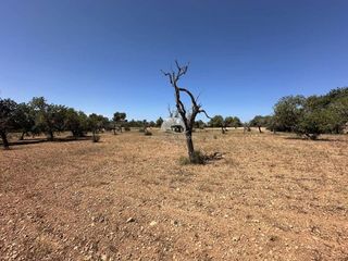 Terreno en venta en Llucmajor Interior en Llucmajor