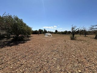 Terreno en venta en Llucmajor Interior en Llucmajor