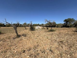 Terreno en venta en Llucmajor Interior en Llucmajor