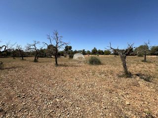 Terreno en venta en Llucmajor Interior en Llucmajor