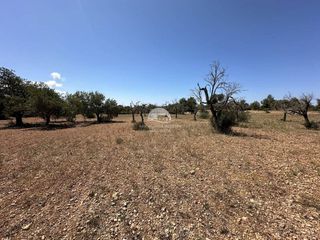 Terreno en venta en Llucmajor Interior en Llucmajor