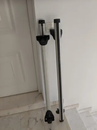 Sarandillo o baca de coche