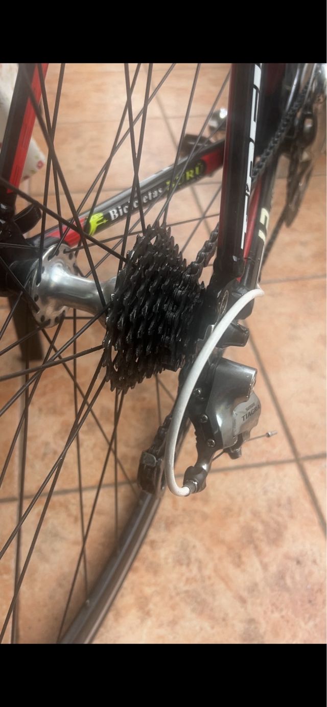 Bicicleta de carretera Trek talla L o 58