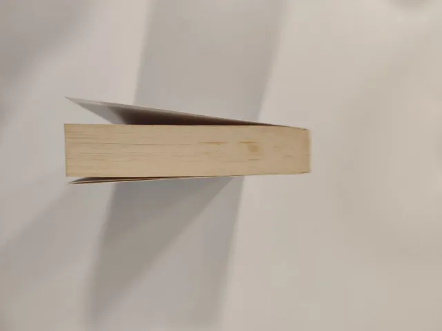 Libro Te lo dije Megan Maxwell