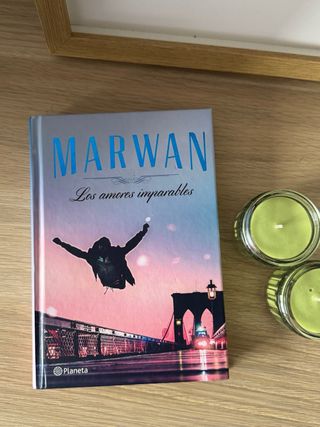 Los amores imparables (edición especial)