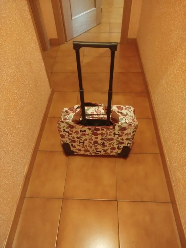 Maleta de viaje cabina