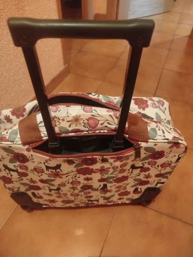 Maleta de viaje cabina